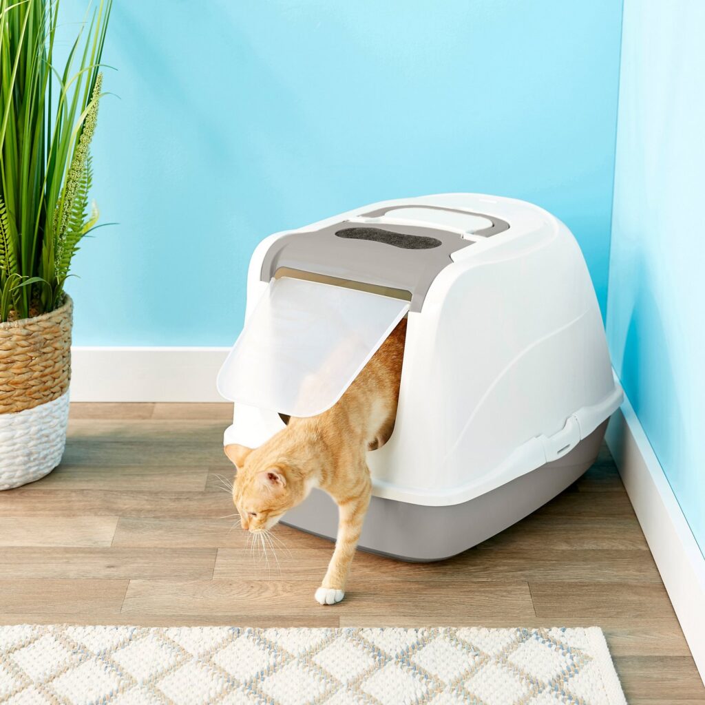 automatic cat litter box lots of cats