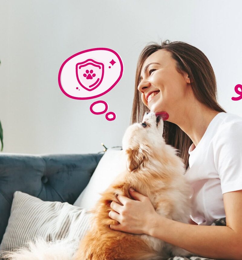 How to Choose Pet Insurance: 5 Detailed Steps | BetterVet
