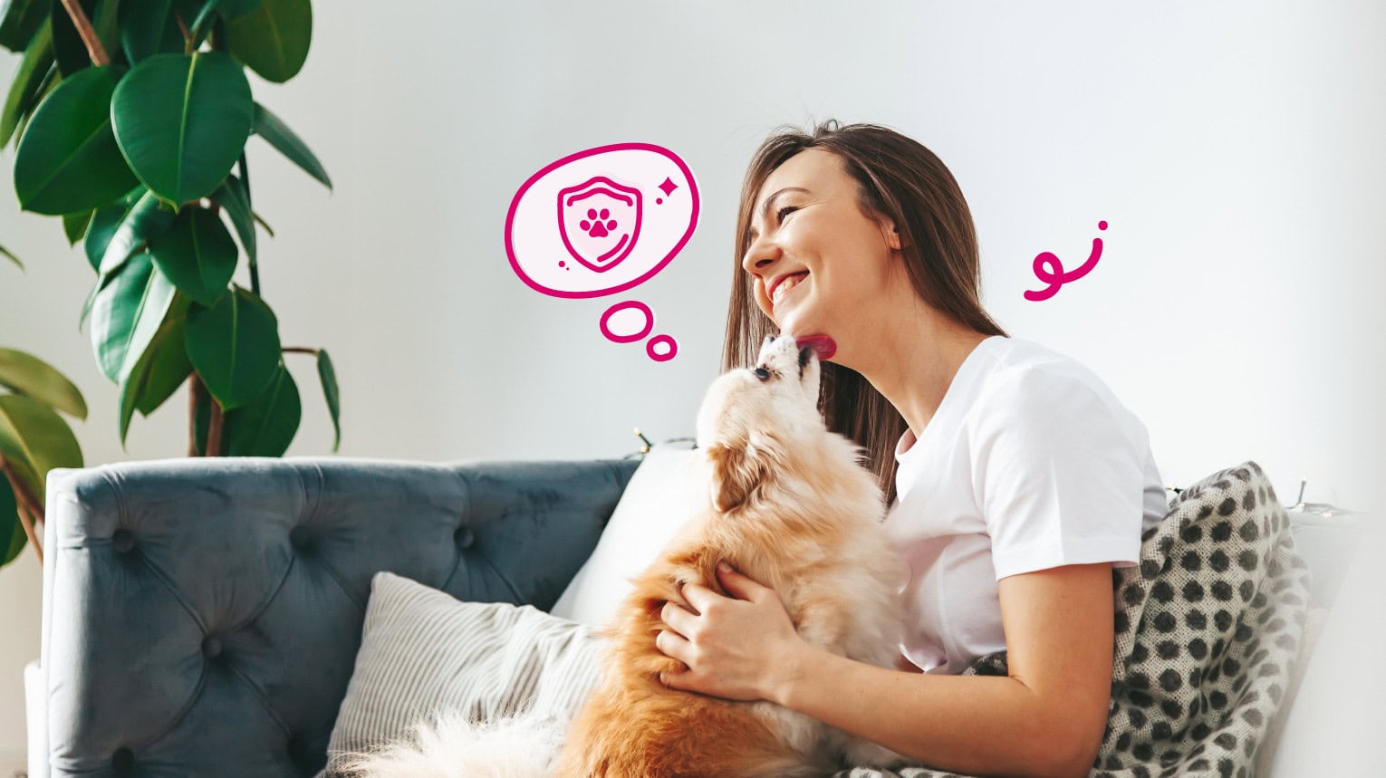 How to Choose Pet Insurance: 5 Detailed Steps | BetterVet
